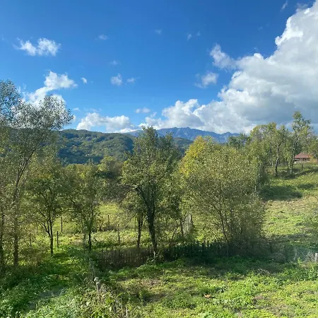 Landhuis Casa Băile Olăneşti